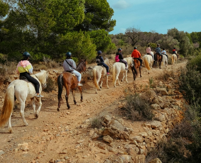 Paseo Caballos